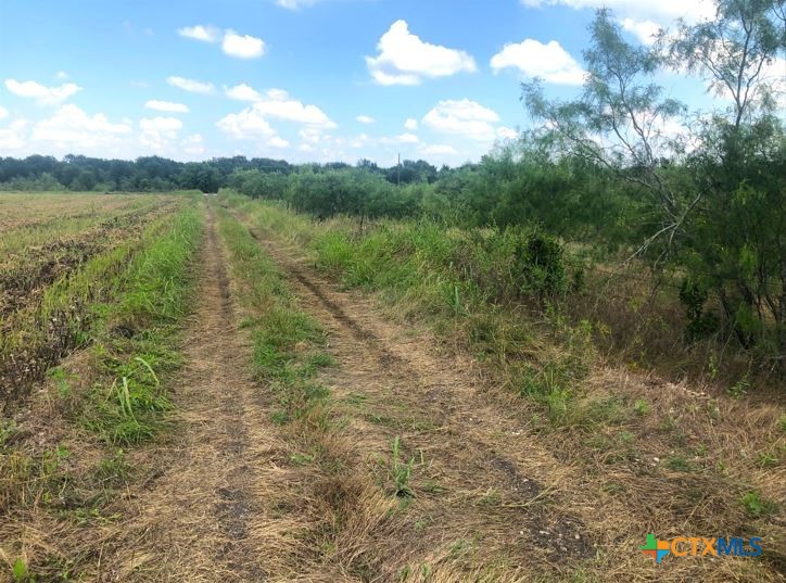 Tbd County Road 421 Property Photo 14