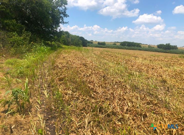 Tbd County Road 421 Property Photo 17