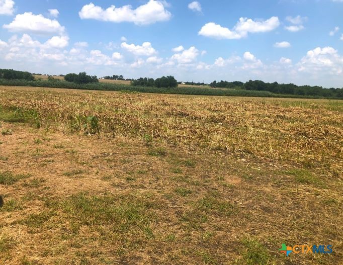 Tbd County Road 421 Property Photo 18