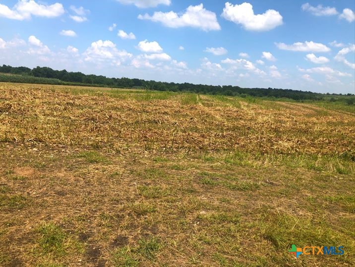 Tbd County Road 421 Property Photo 19