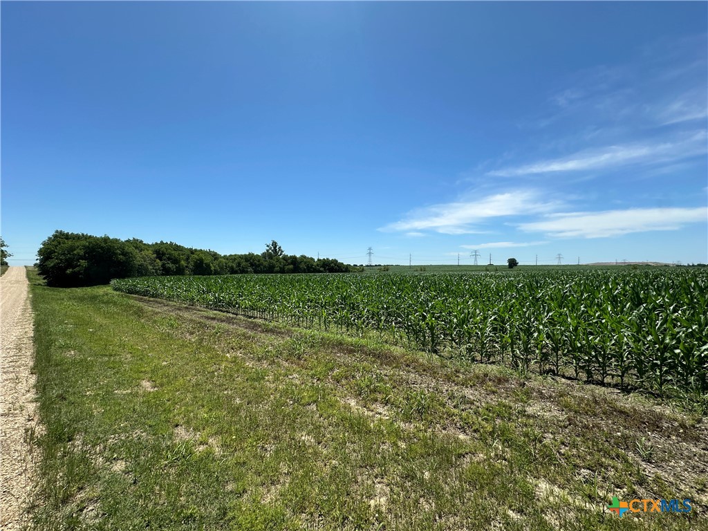 1717 Willow Road Property Photo 15