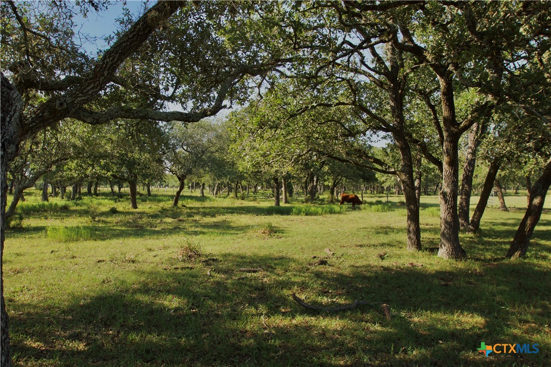 3675 County Road 438 Property Photo 4