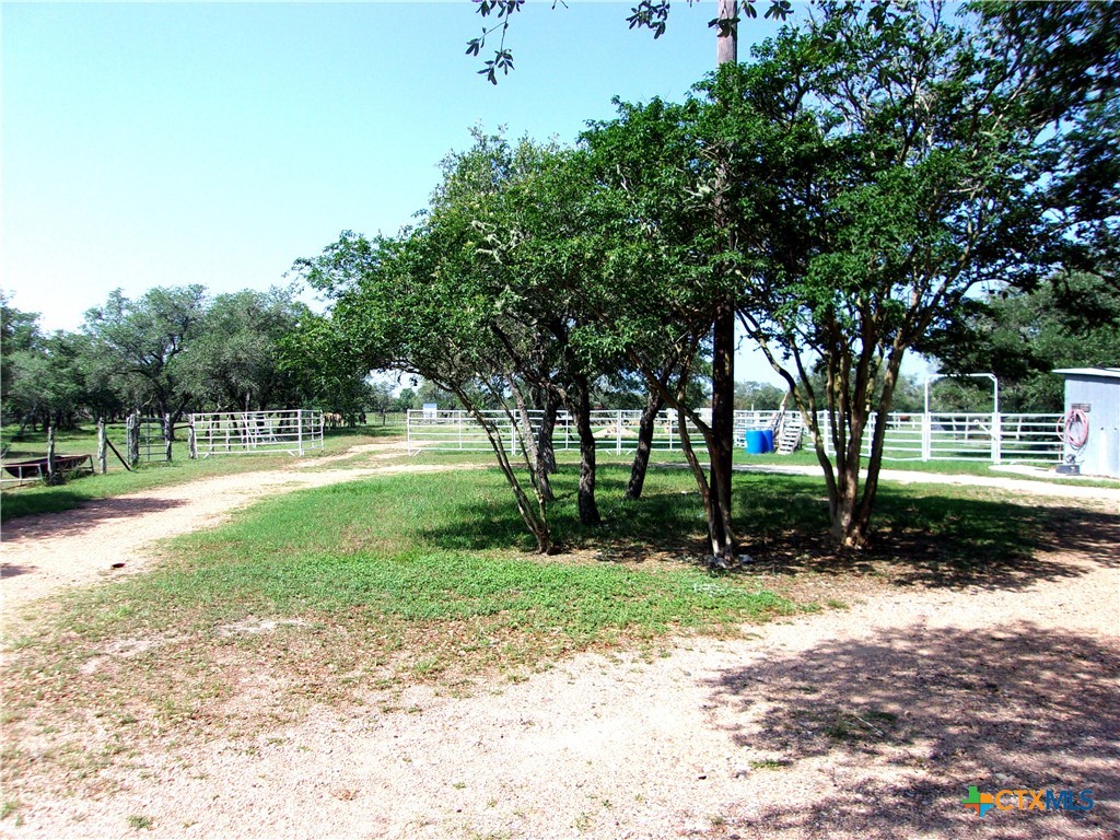 3675 County Road 438 Property Photo 5