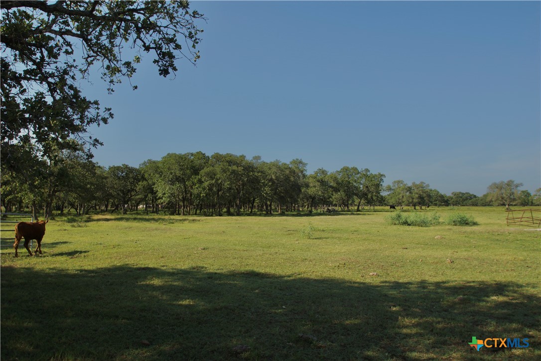 3675 County Road 438 Property Photo 10