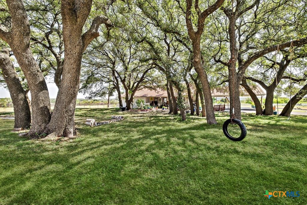3656 Fm 2657 Property Photo 18
