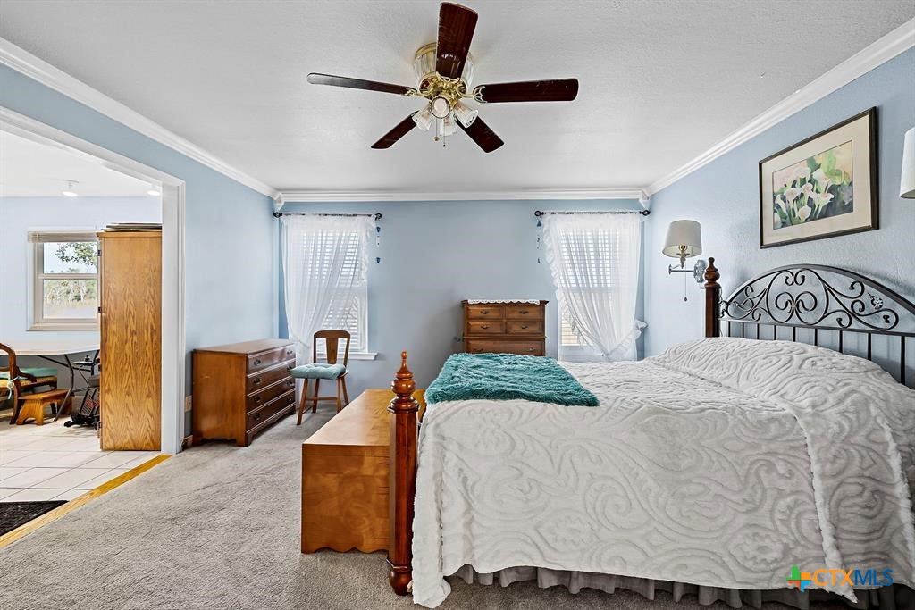 3656 Fm 2657 Property Photo 24