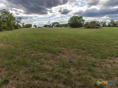 7805 Barbarossa Road Property Photo 16