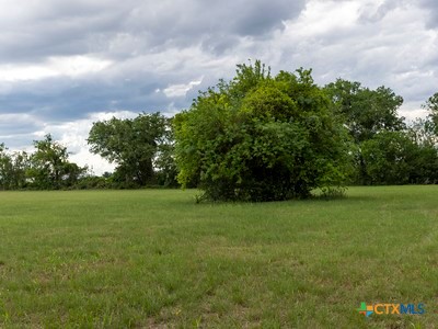 7805 Barbarossa Road Property Photo 17