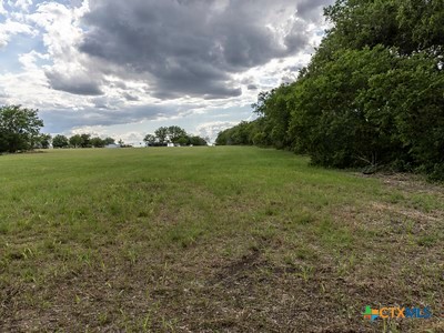 7805 Barbarossa Road Property Photo 18