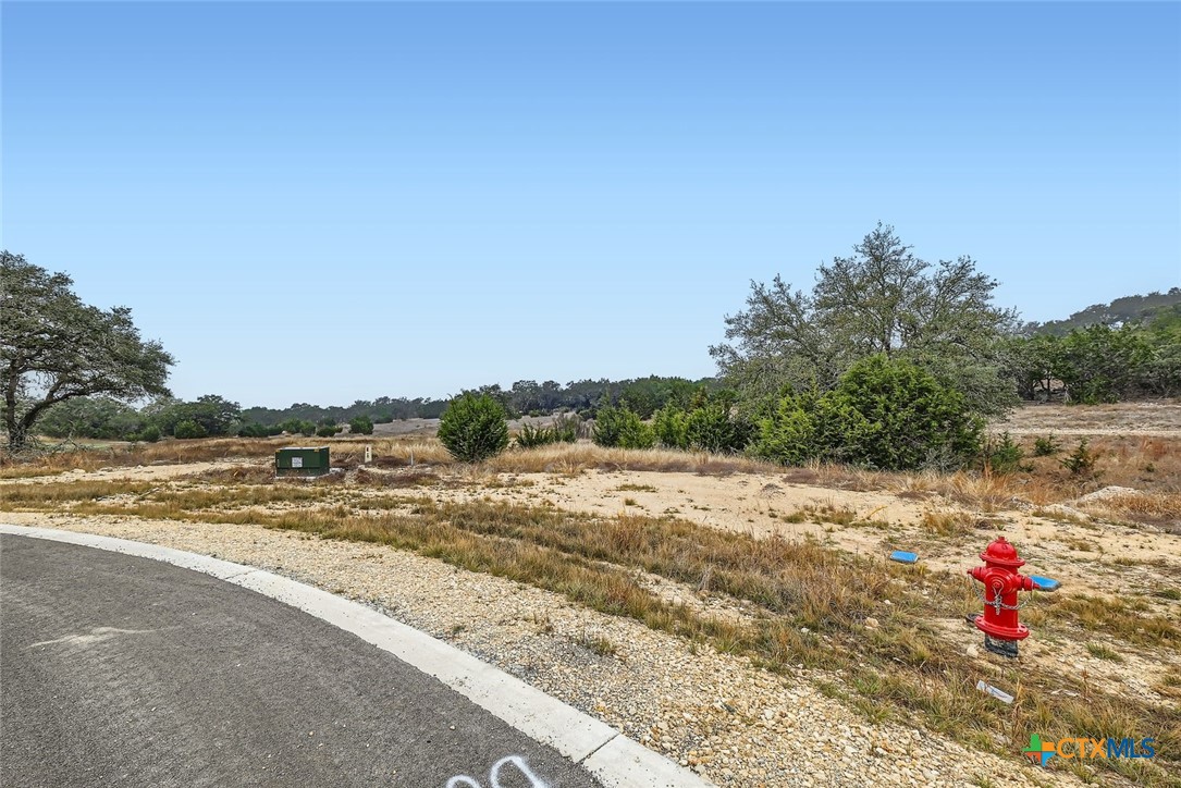 34717 Mayer Oaks Property Photo 1