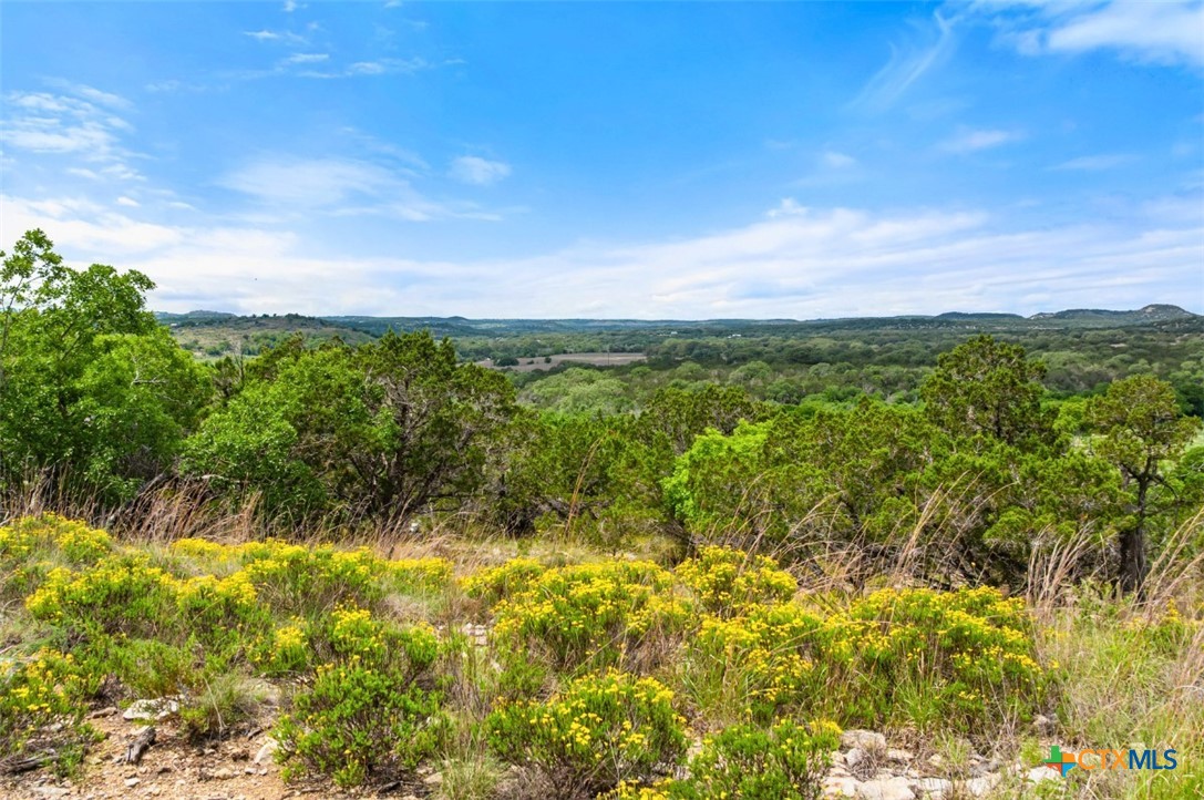 17 September Ridge Property Photo 40