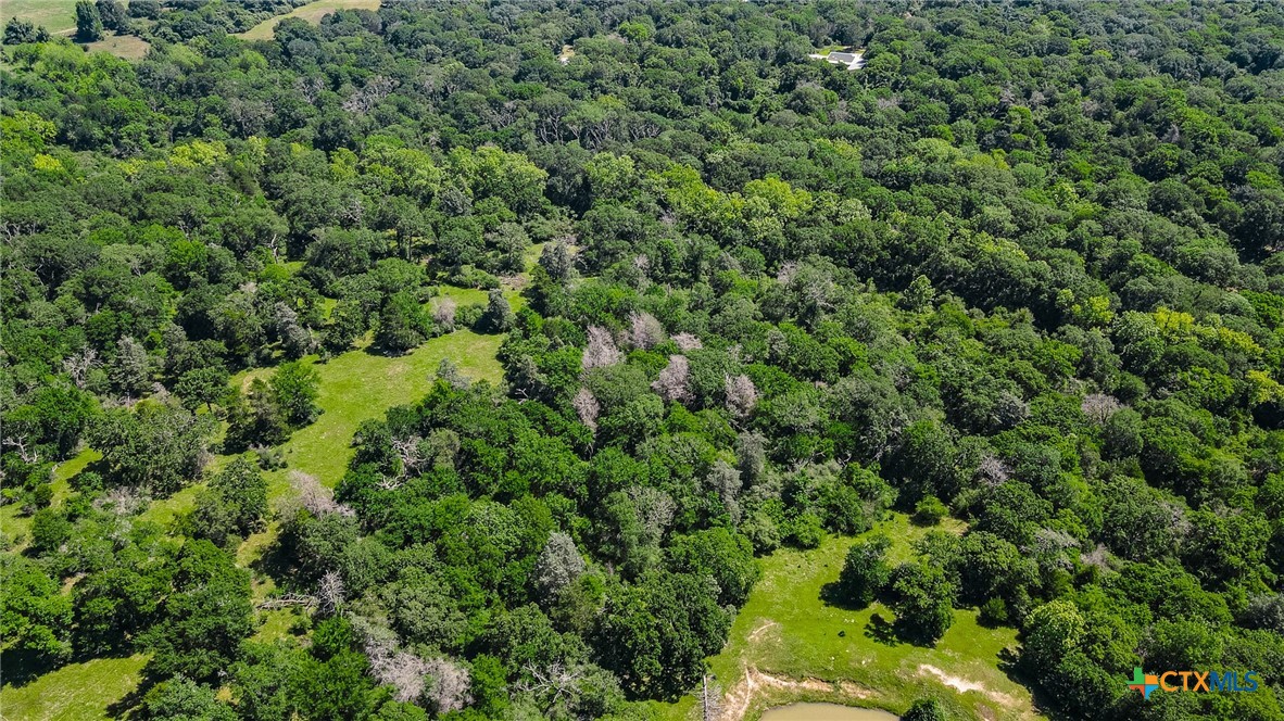 Tbd Kemp Road Property Photo 11