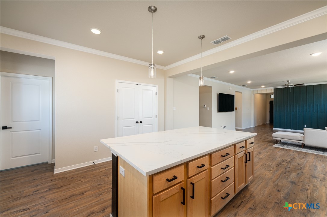 7317 Buffalo Grass Drive Property Photo 8