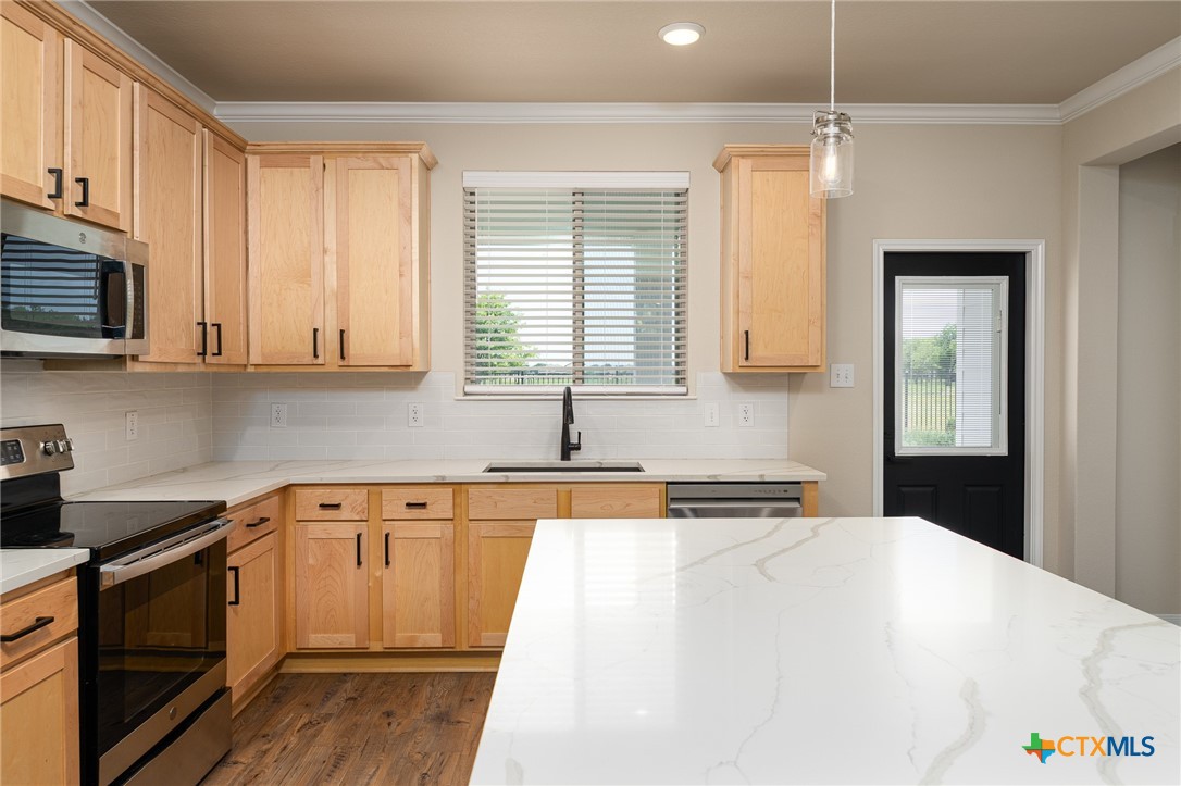 7317 Buffalo Grass Drive Property Photo 11