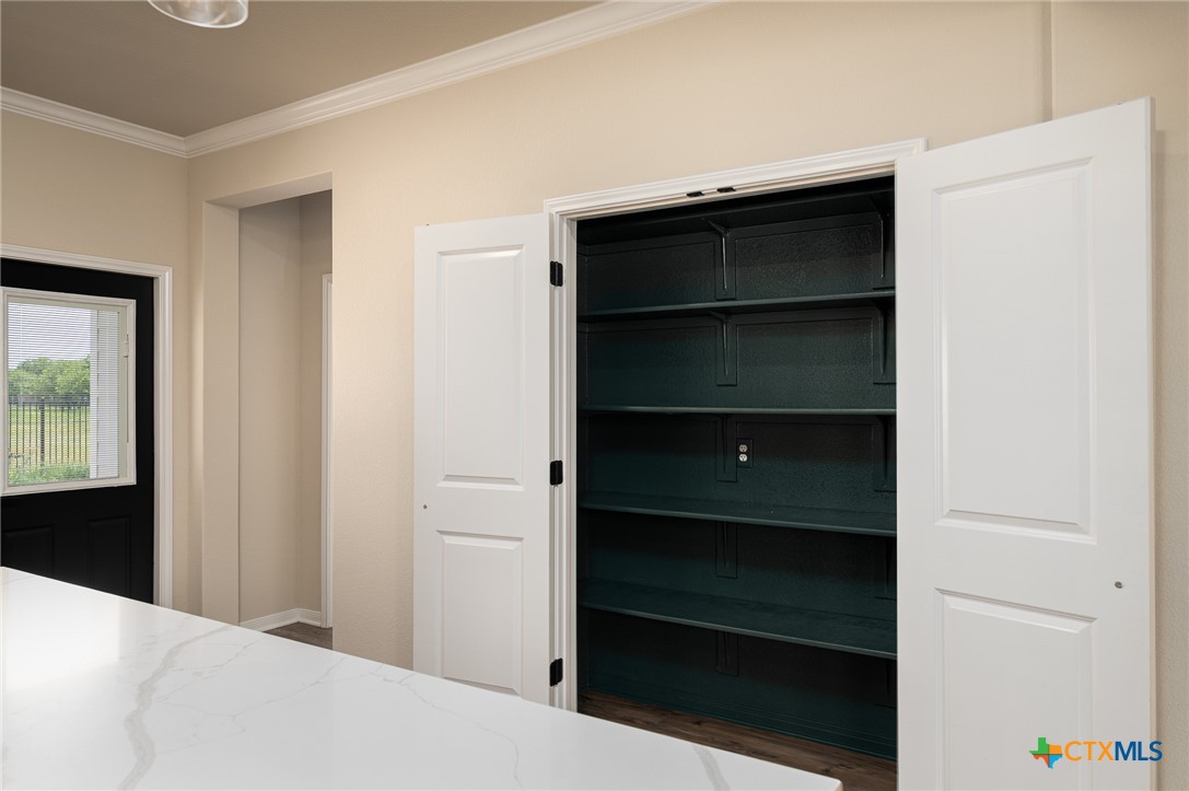 7317 Buffalo Grass Drive Property Photo 12