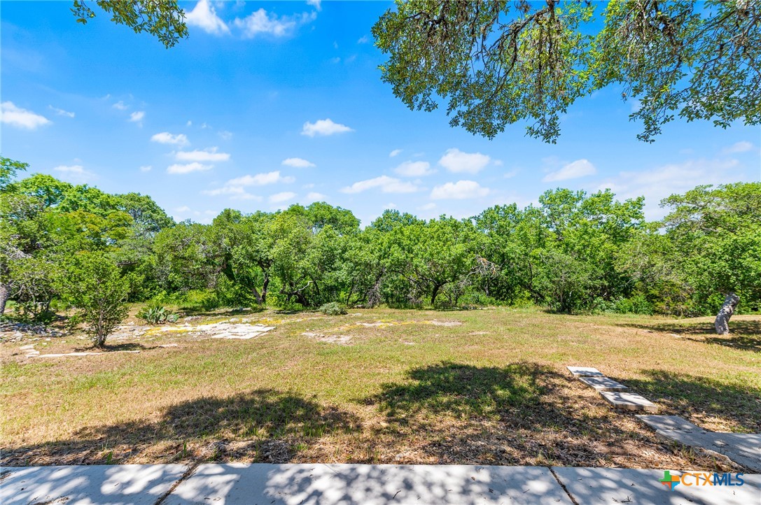 9130 Rebecca Creek Road Property Photo 26