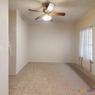 501 Live Oak Street Property Photo 16