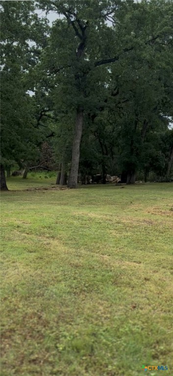501 Live Oak Street Property Photo 21