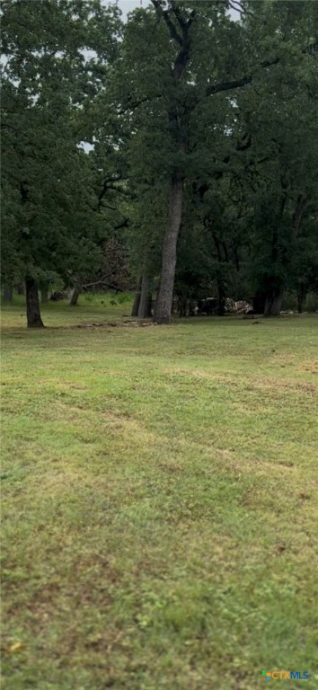 501 Live Oak Street Property Photo 23