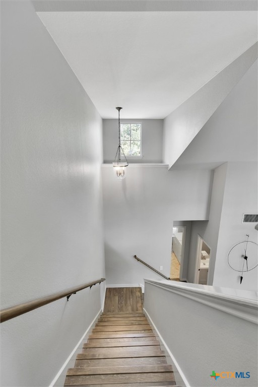 3405 Campanella Drive Property Photo 19