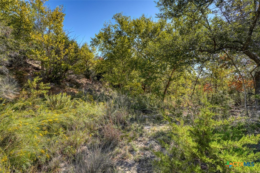 530 Scenic View Drive Property Photo 44