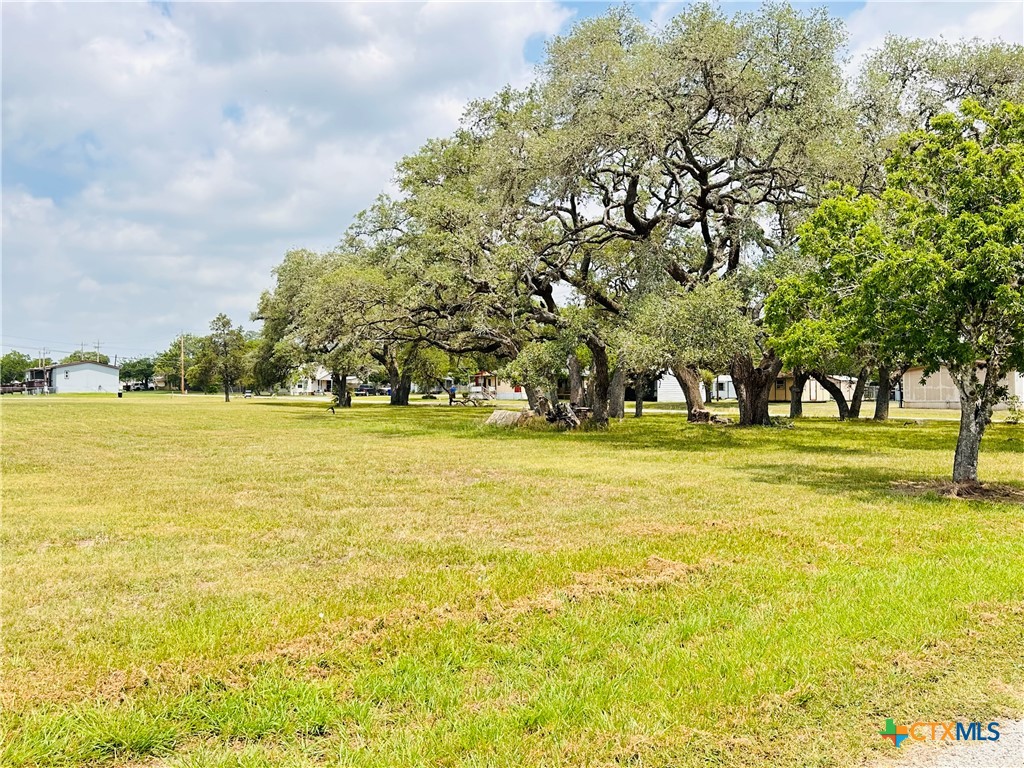 510 Pat Cleburne Street Property Photo 1