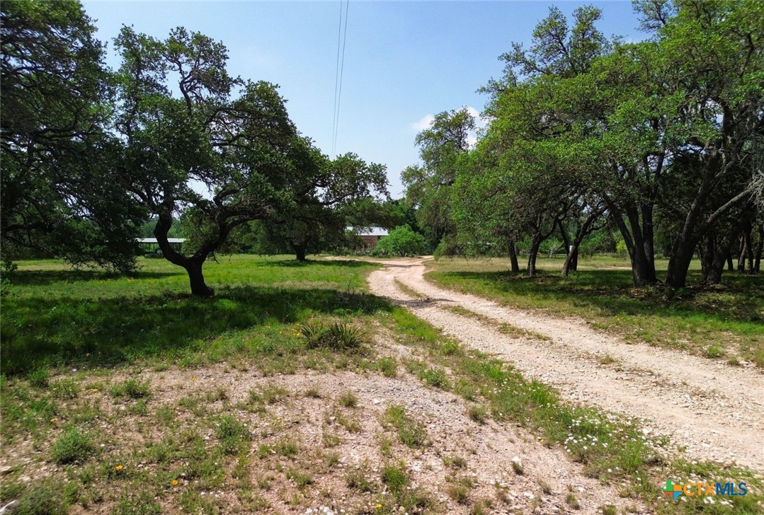 1037 Ranch Road 962 W Property Photo 5