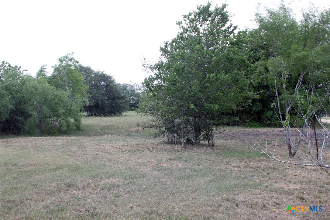 411 Fm 86 Property Photo 26