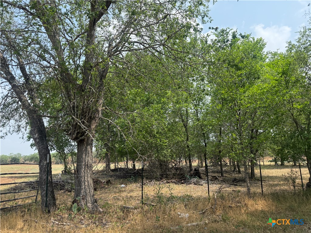 1404 Us Highway 87 Property Photo 5