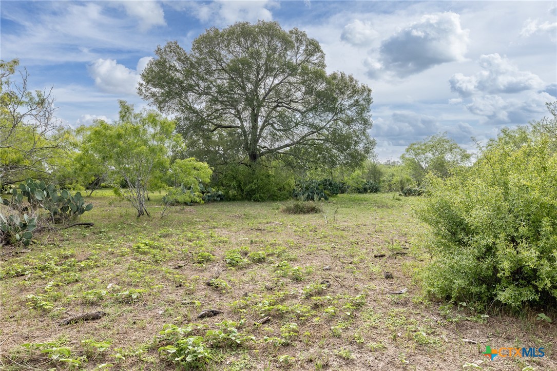 5063 State Hwy 97 E Property Photo 1