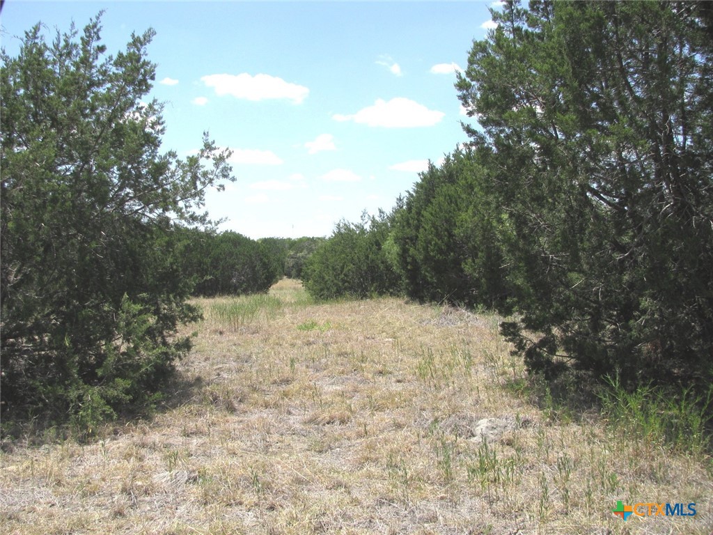 Lot 23 Phase 1 Pr 4218 Property Photo 6