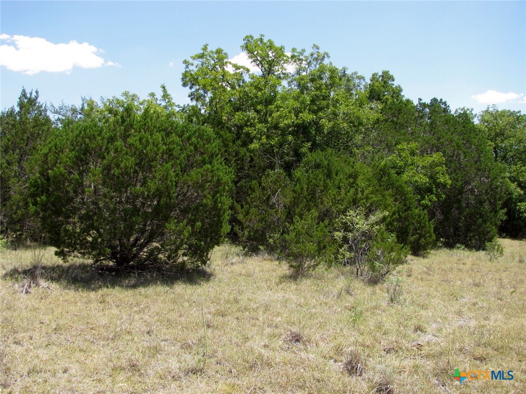 Lot 23 Phase 1 Pr 4218 Property Photo 7