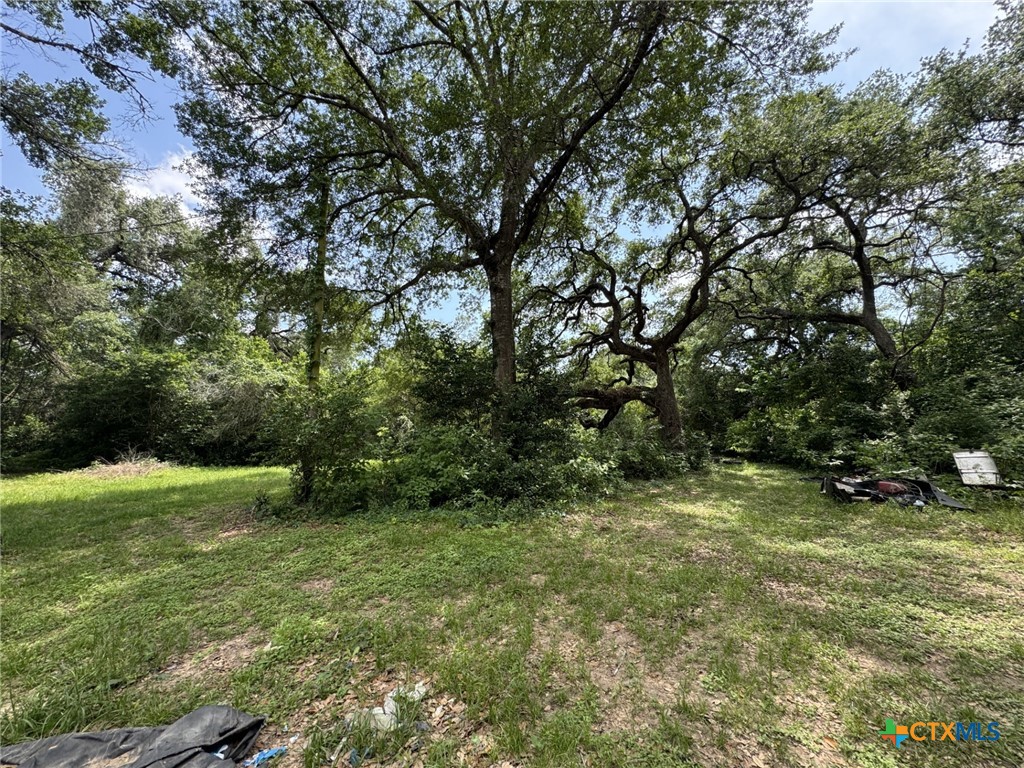 12392 Fm 1300 Road Property Photo 27