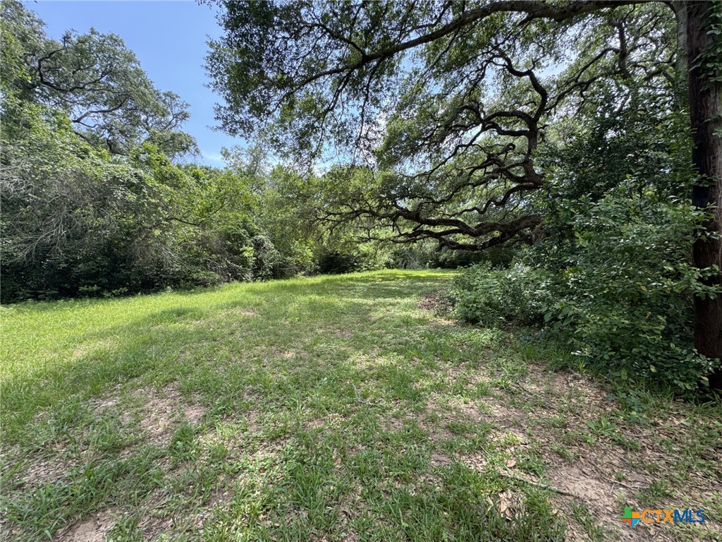 12392 Fm 1300 Road Property Photo 28