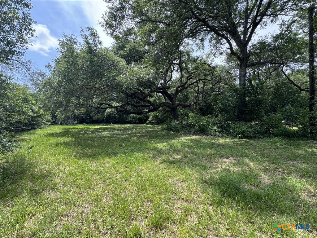 12392 Fm 1300 Road Property Photo 29
