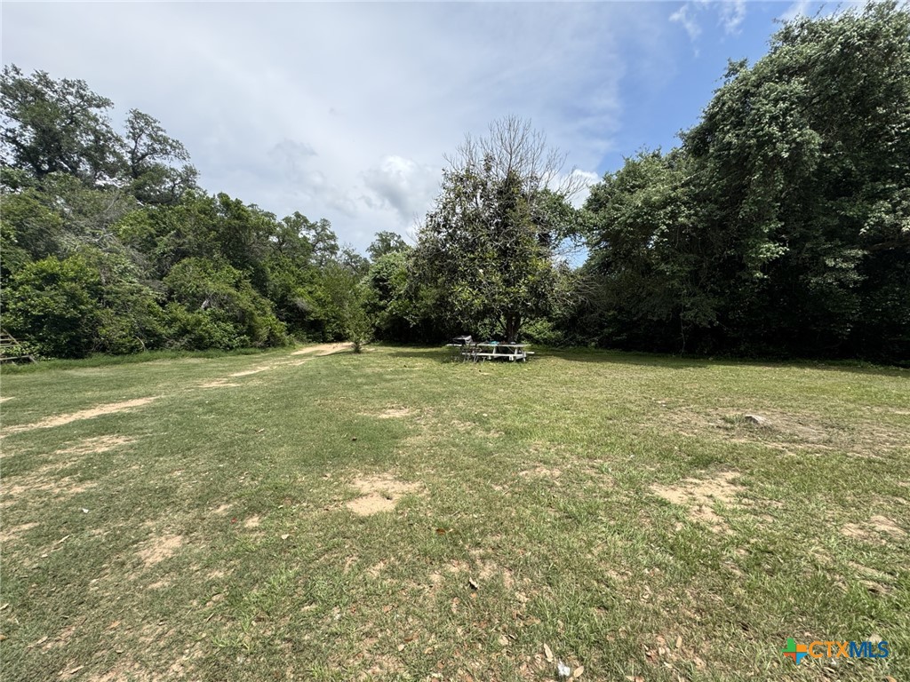 12392 Fm 1300 Road Property Photo 30