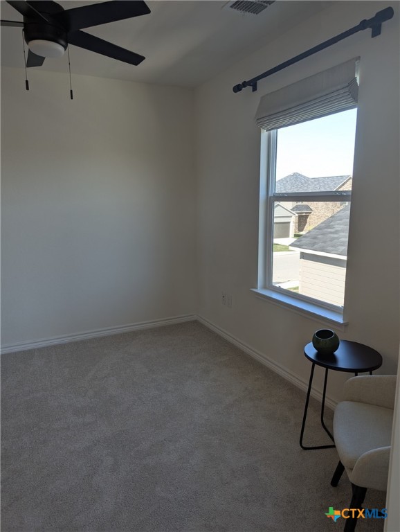 4177 Harper Lee Ln Property Photo 11