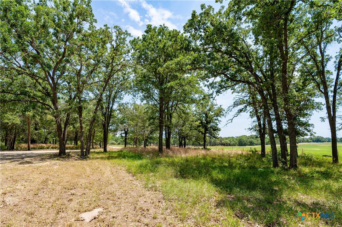 11525 Fm 86 Property Photo 30