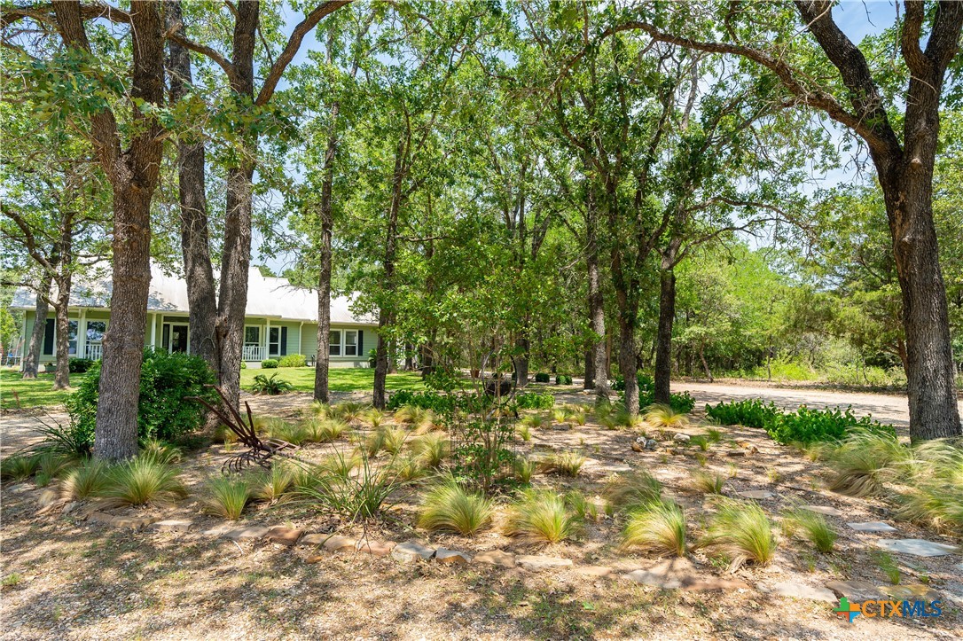 11525 Fm 86 Property Photo 37