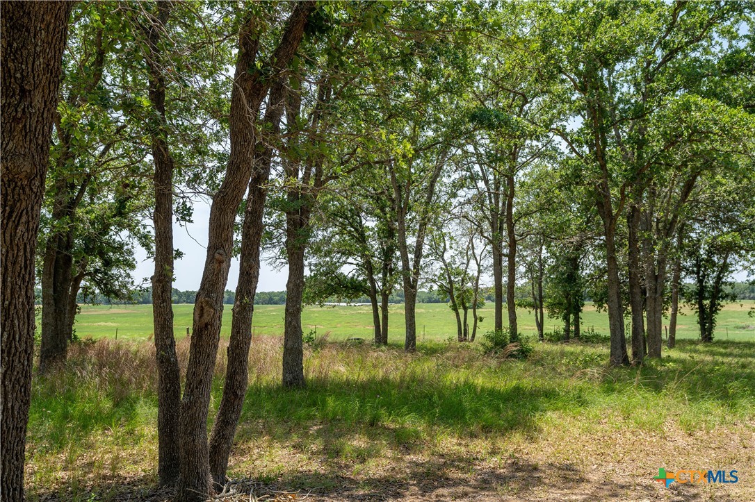 11525 Fm 86 Property Photo 42
