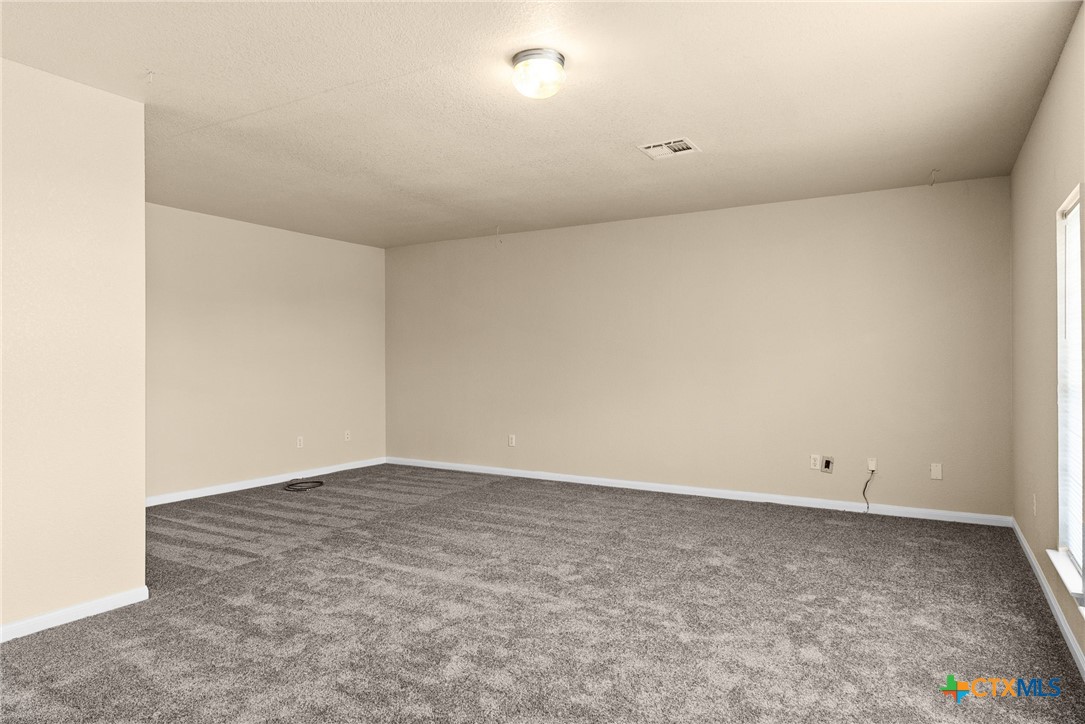 118 Lone Shadow Drive Property Photo 19