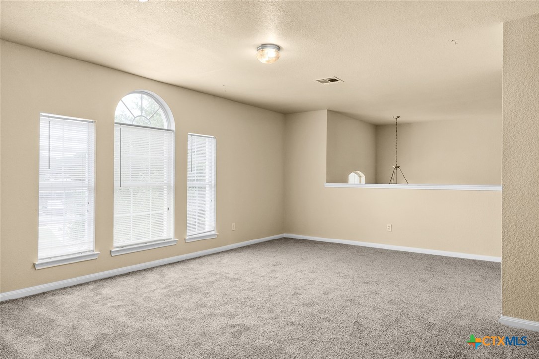 118 Lone Shadow Drive Property Photo 20