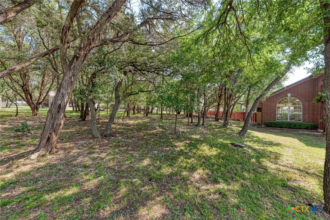 133 Ridgewood Cove Property Photo 23