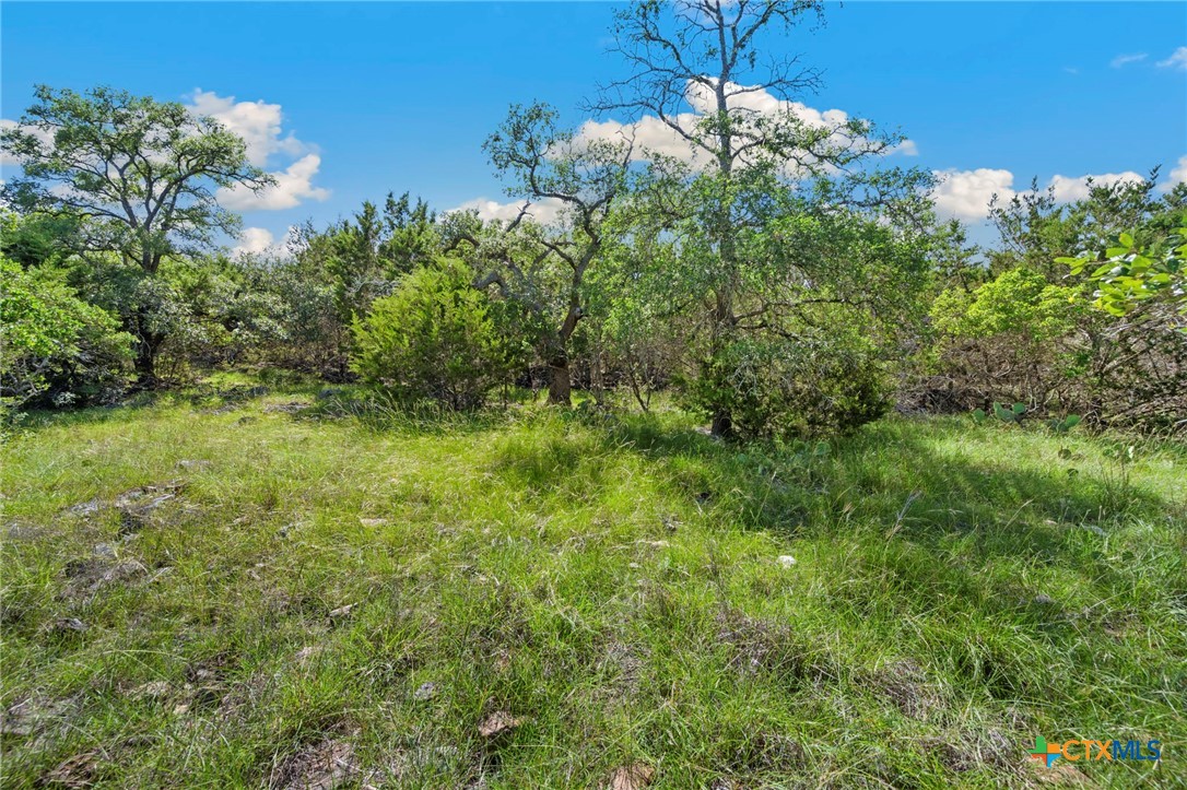 0 Tbd Property Photo 1