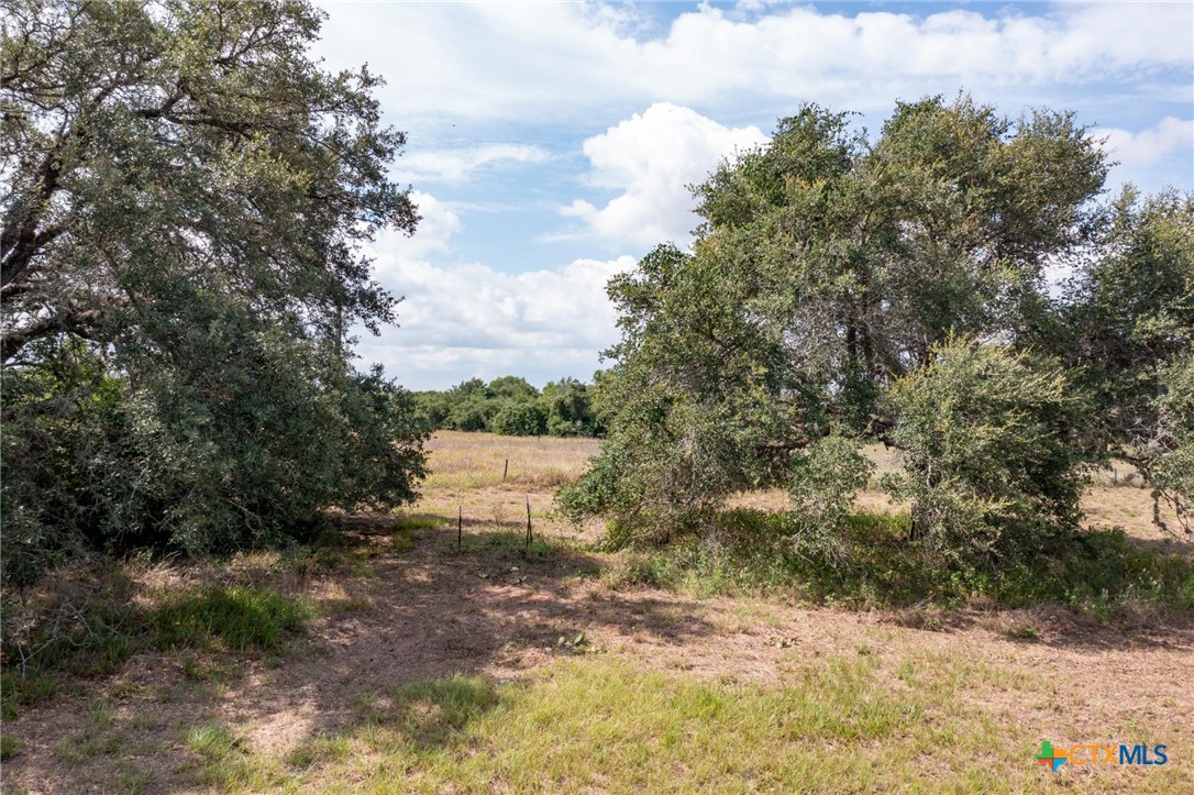 3831 Hopkinsville Road Property Photo 33