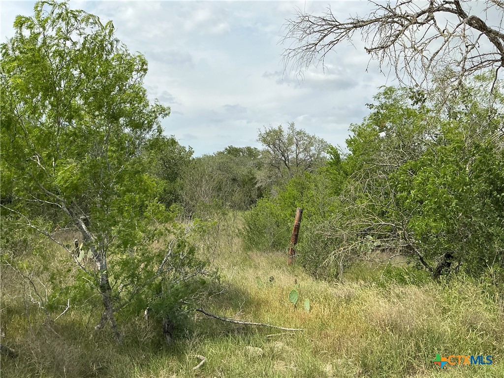 1066 Robertson Road Property Photo 1