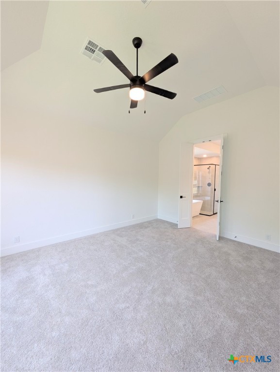 1005 Easy Gruene Property Photo 25