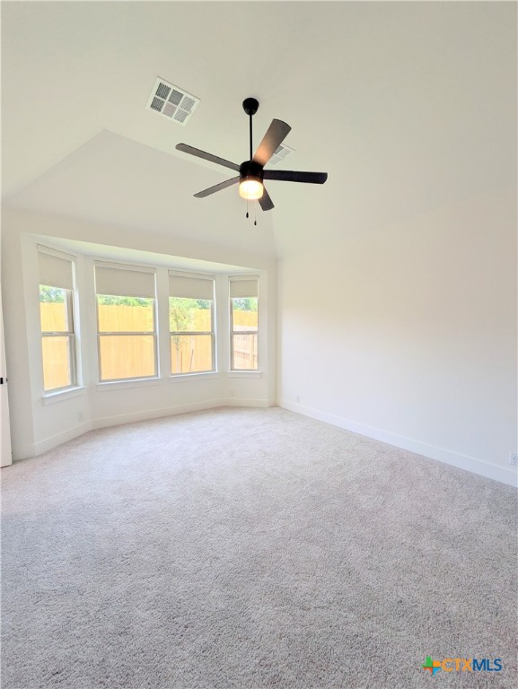 1005 Easy Gruene Property Photo 26