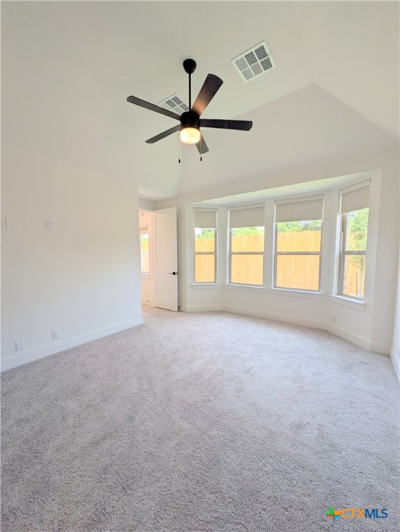 1005 Easy Gruene Property Photo 27