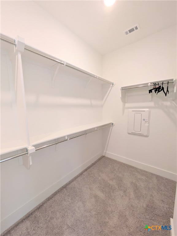 1005 Easy Gruene Property Photo 30